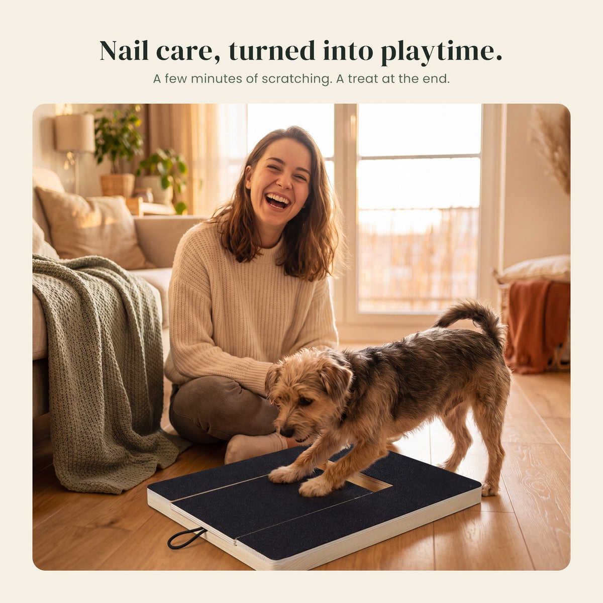 Dog scratching the Dig Board next to its owner