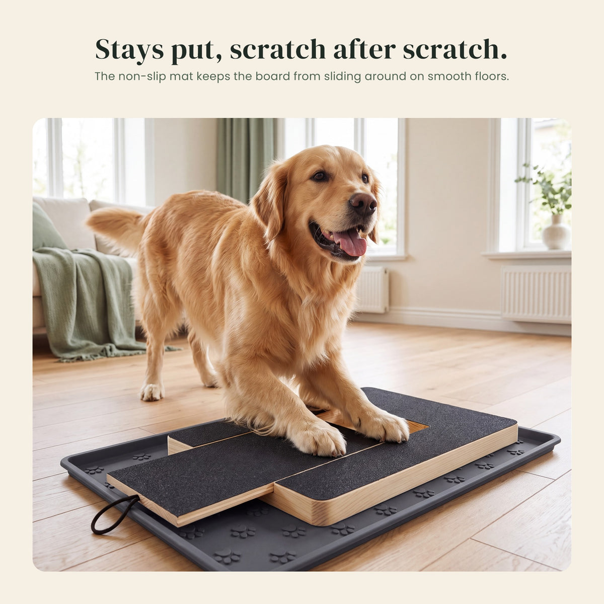 Golden retriever using the Dig Board on the non-slip mat