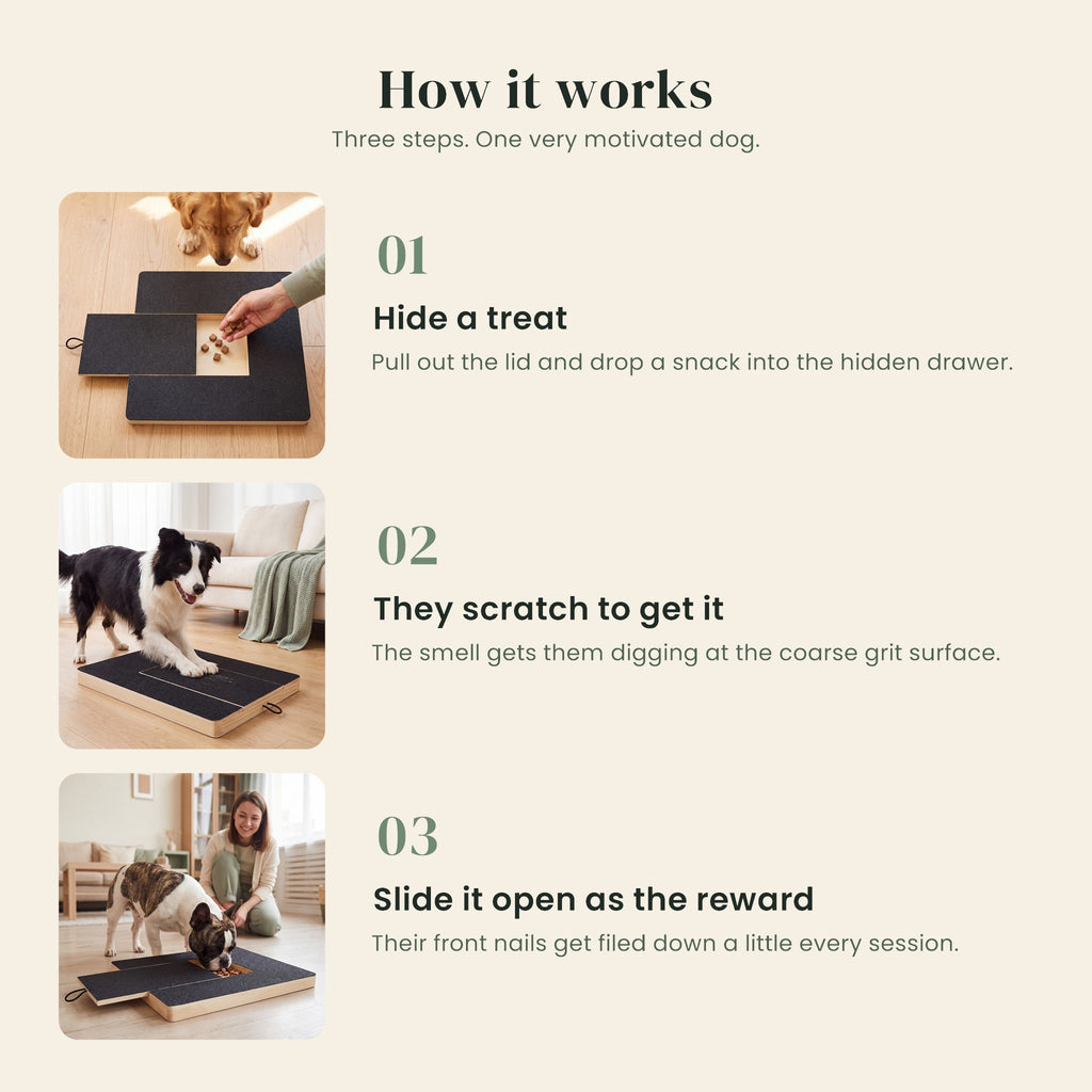 How the Dig Board works in three steps