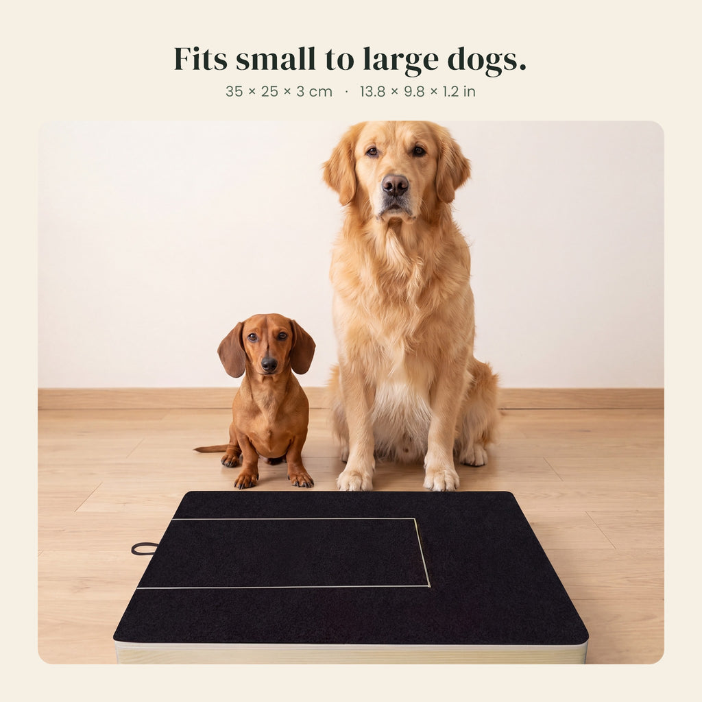Dig Board size 35 x 25 x 3 cm, fits small to large dogs