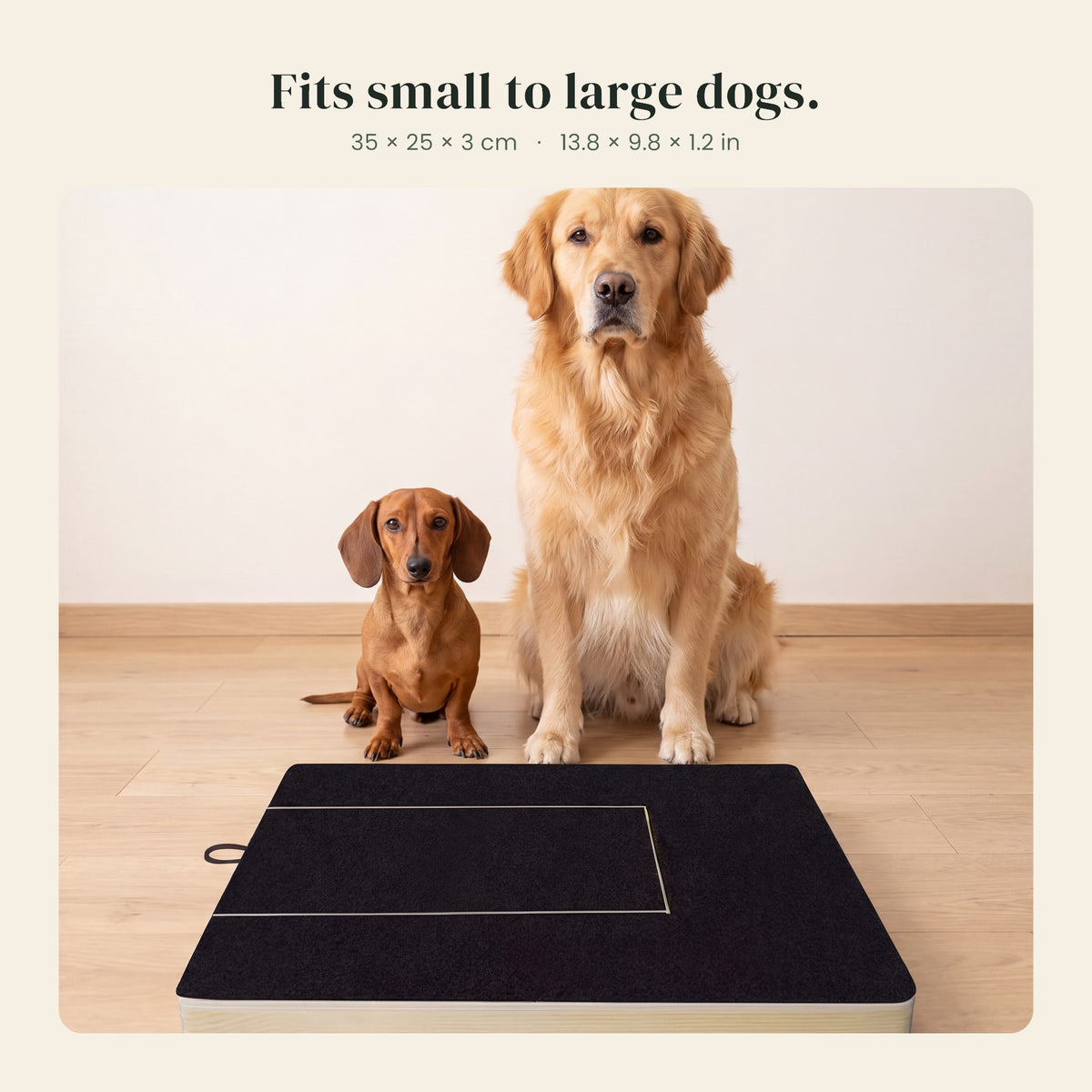 Dig Board size 35 x 25 x 3 cm, fits small to large dogs